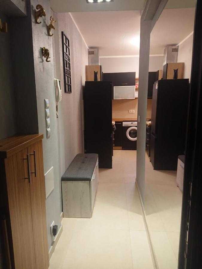 דירות מידזיזדרויה Apartament Muszelka מראה חיצוני תמונה
